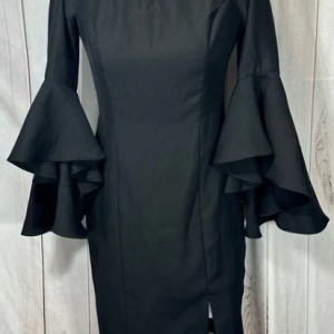 Venus Flutter Sleeve dress